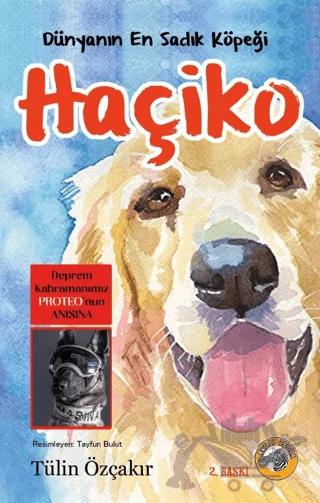 Dünyanın En Sadık Köpeği Haçiko