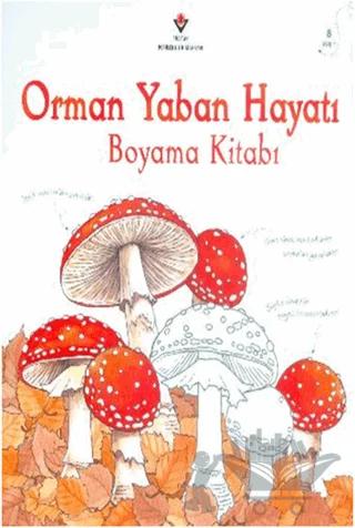 Orman Yaban Hayatı Boyama Kitabı