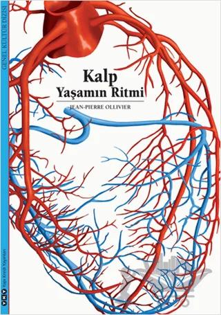 Kalp Yaşamın Ritmi