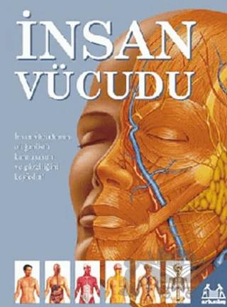 İnsan Vücudu