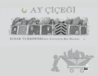 Ay Çiçeği