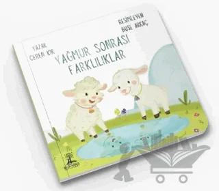 Yağmur Sonrası Farklılıklar