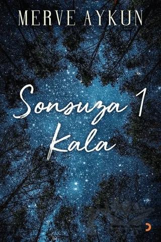 Sonsuza 1 Kala