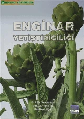 Enginar Yetiştiriciliği