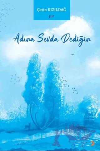 Adına Sevda Dediğin