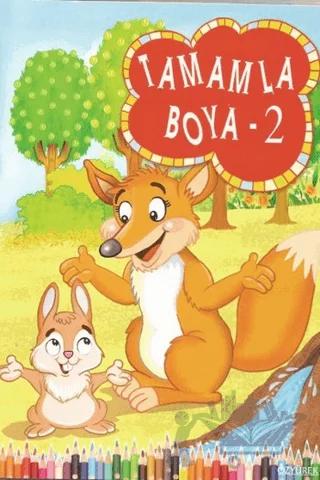 Tamamla Boya 2