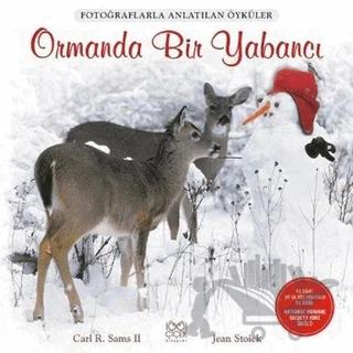 Ormanda Bir Yabancı