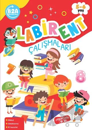Labirent Çalışmaları