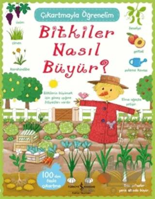 Bitkiler Nasıl Büyür? - Çıkartmayla Öğrenelim