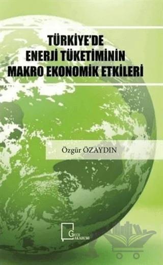 Türkiye'de Enerji Tüketiminin Makro Ekonomik Etkileri