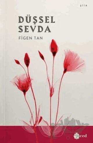 Düşsel Sevda