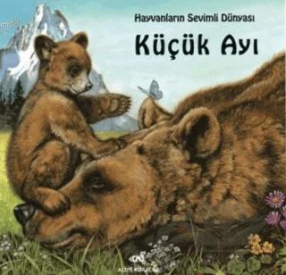 Küçük Ayı