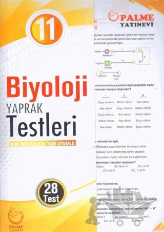Palme Yaprak Test 11. Sınıf Biyoloji