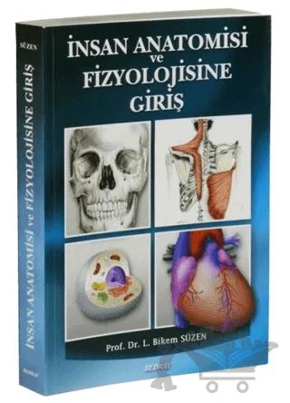 İnsan Anatomisi ve Fizyolojisine Giriş