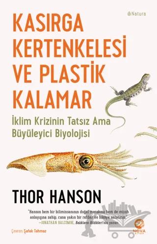 Kasırga Kertenkelesi ve Plastik Kalamar