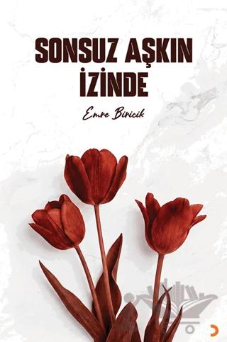 Sonsuz Aşkın İzinde