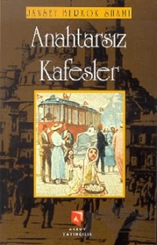 Anahtarsız Kafesler – Janset Berkok Shami – Aksoy Yayıncılık kitap kapağı