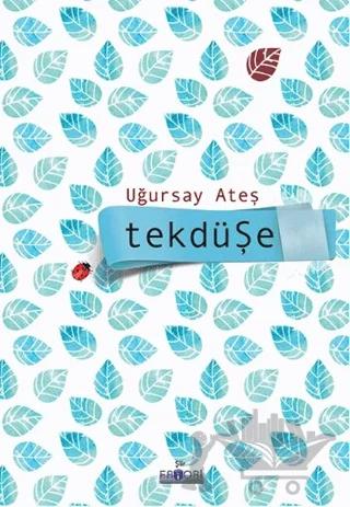 Tekdüşe