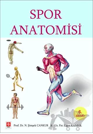 Spor Anatomisi