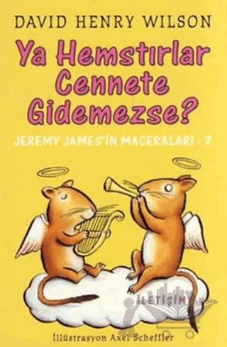 Ya Hemstırlar Cennete Gidemezse?