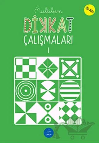 Dikkat Çalışmaları - 1