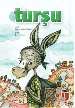 Turşu