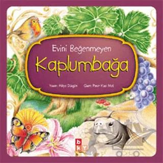 Evini Beğenmeyen Kaplumbağa