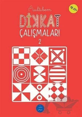 Dikkat Çalışmaları - 2