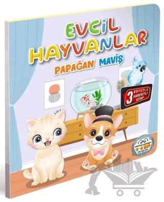 Evcil Hayvanlar Papağan Maviş