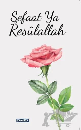 Şefaat Ya Resulallah (2 Kitap Takım)