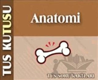 TUS Kutusu Anatomi