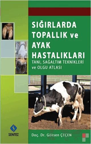 Sığırlarda Topallık ve Ayak Hastalıkları