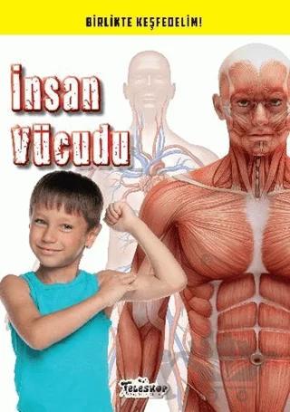 İnsan Vücudu