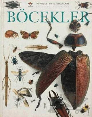 Böcekler