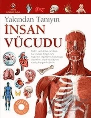 İnsan Vücudu - Yakından Tanıyın