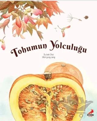 Tohumun Yolculuğu