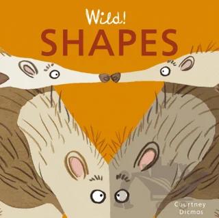 Shapes