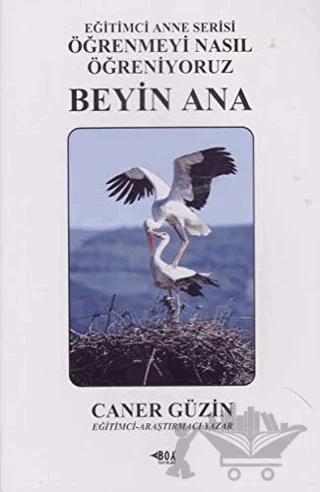 Beyin Ana