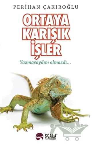 Ortaya Karışık İşler