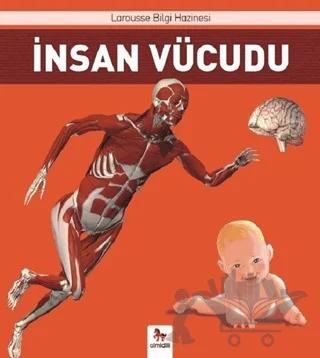 İnsan Vücudu