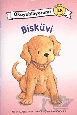 Bisküvi