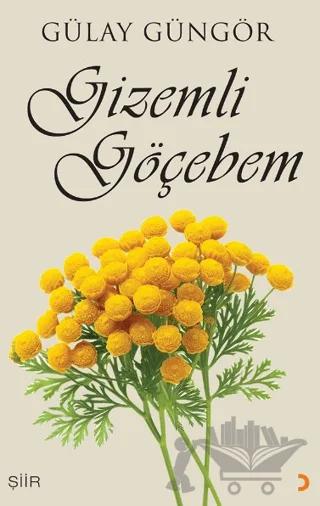 Gizemli Göçebem