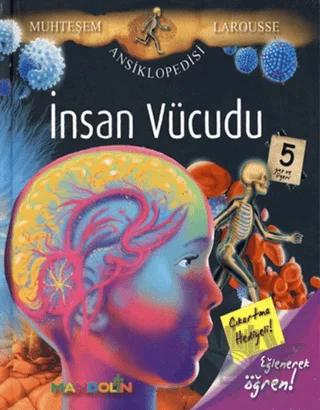 İnsan Vücudu