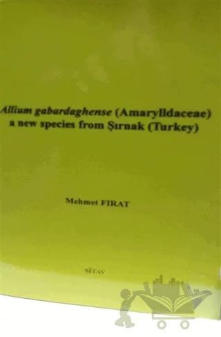 Allium gabardaghense (Amarylldaceae) a New Species From Şırnak (Turkey)