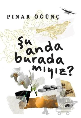 Şu Anda Burada Mıyız?