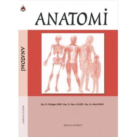 Anatomi