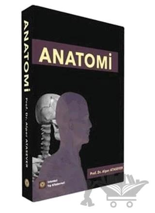 Anatomi