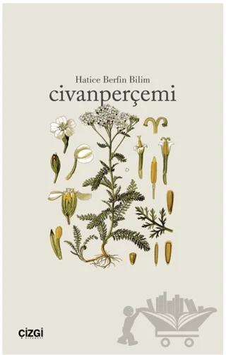 Civanperçemi