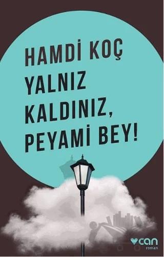 Yalnız Kaldınız, Peyami Bey!