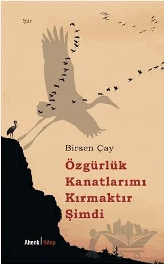 Özgürlük Kanatlarımı Kırmaktır Şimdi